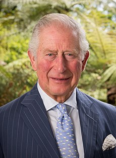 AUCKLAND, NEW ZEALAND - November 18: Official Portraits for the Prince of Wales and the Duchess of Cornwall November 18, 2019  AUCKLAND, New Zealand. (Photo by Mark Tantrum/ http://marktantrum.com)