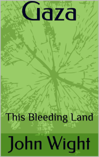 Where We Go, Others Will Follow: Review of 'Gaza: This Bleeding Land' by John Wight