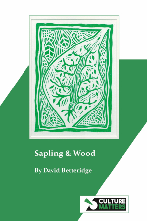 The Seeds We Plant Will Grow: &#039;Sapling and Wood&#039; by David Betteridge