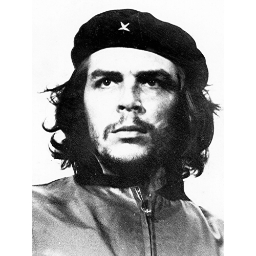 Portrait of a revolutionary: Guevara in Kilkee