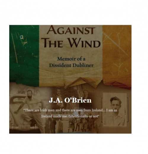 Writings and Particulars: New Website from Alan O&#039;Brien